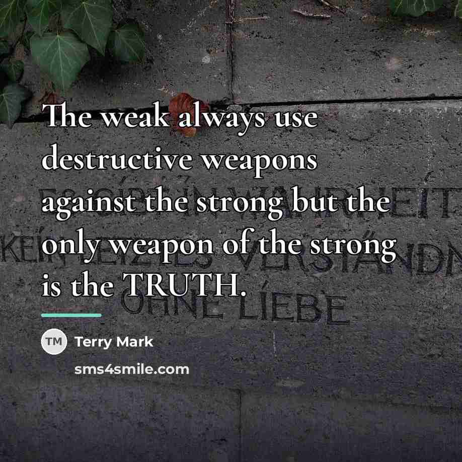 “The weak always use destructive weapons against the strong but…” quote by Terry Mark