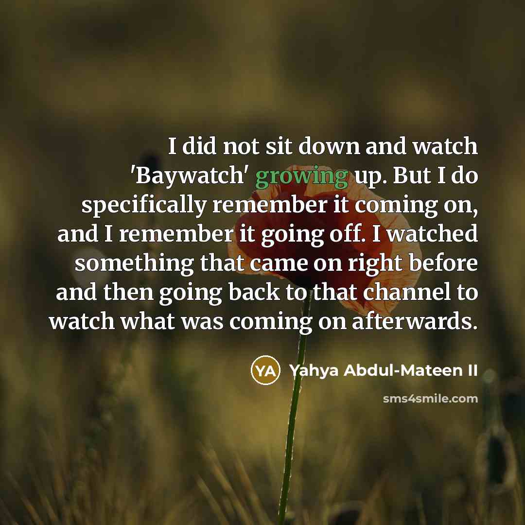 “I did not sit down and watch 'Baywatch' growing up.…” quote by Yahya Abdul-Mateen II