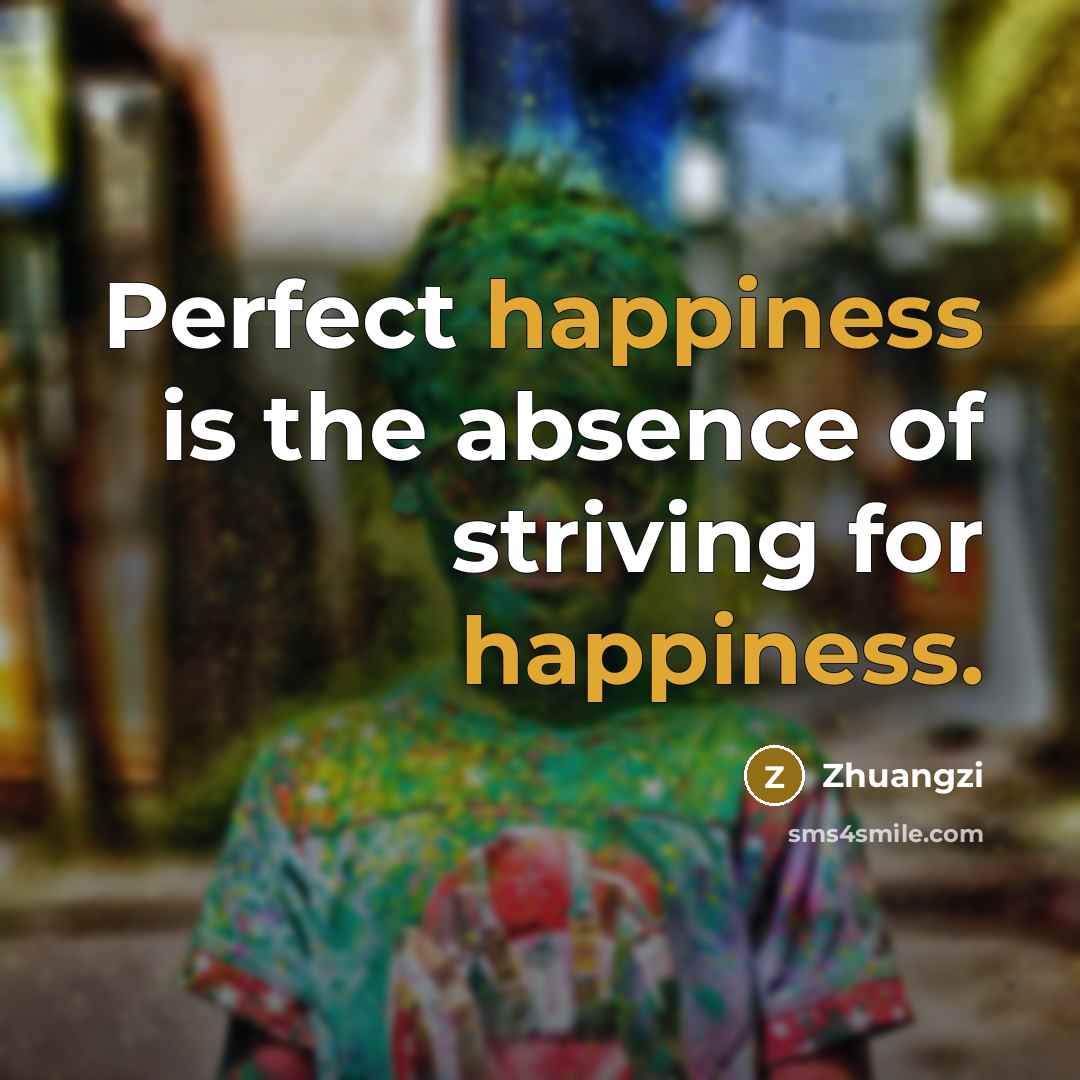 “Perfect happiness is the absence of striving for happiness.…” quote by Zhuangzi