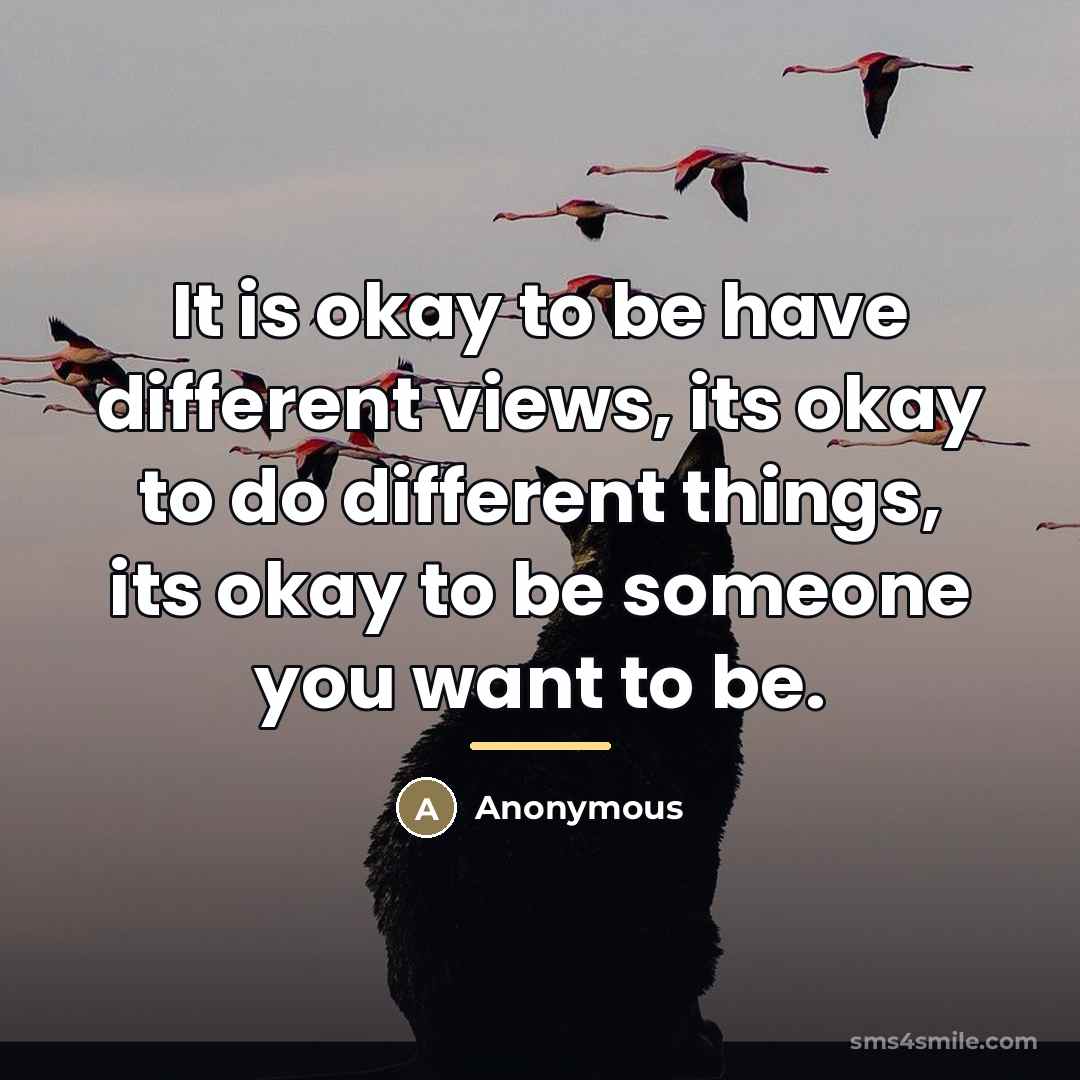 “It is okay to be have different views, its okay…” quote by Anonymous