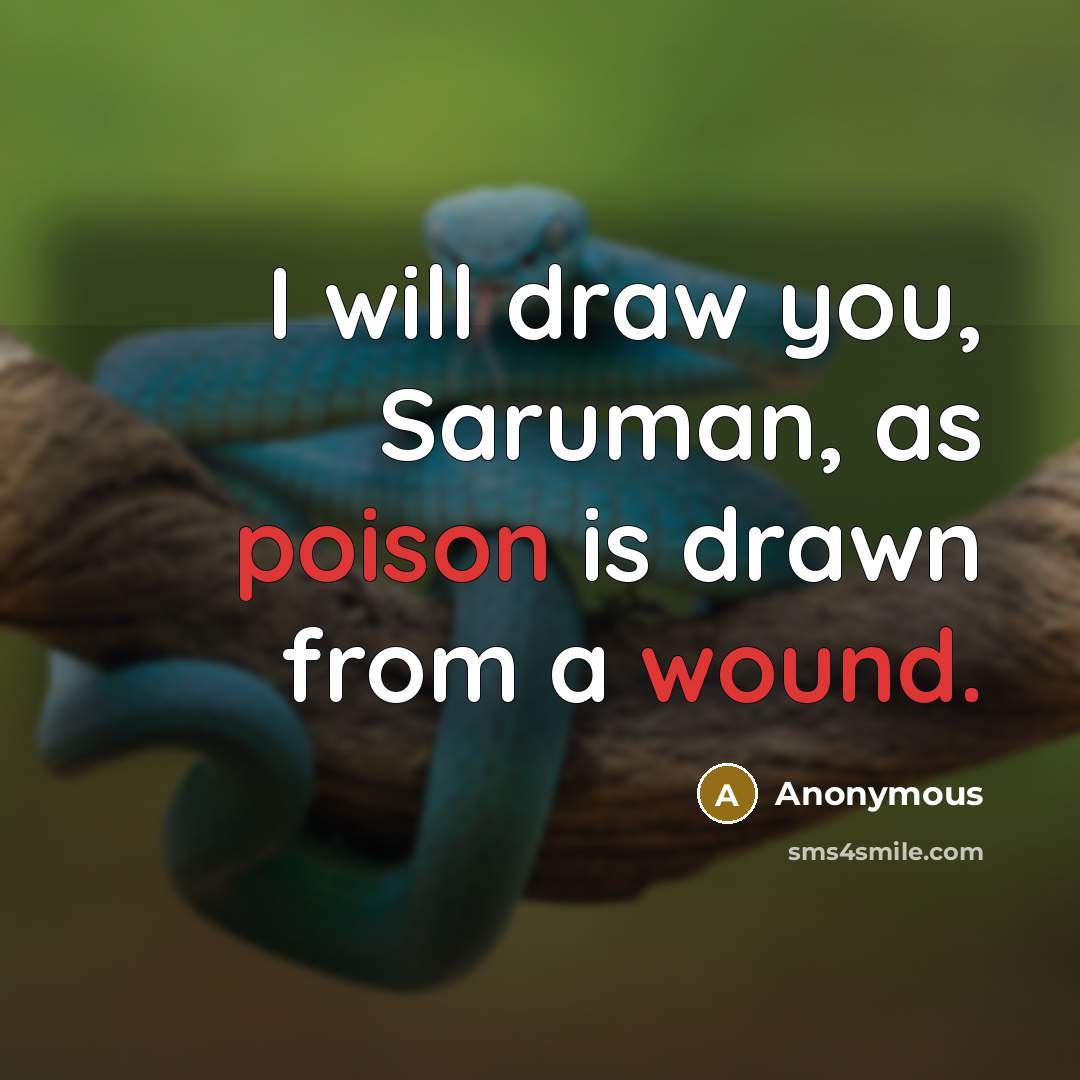 “I will draw you, Saruman, as poison is drawn from a wound.” quote by Anonymous