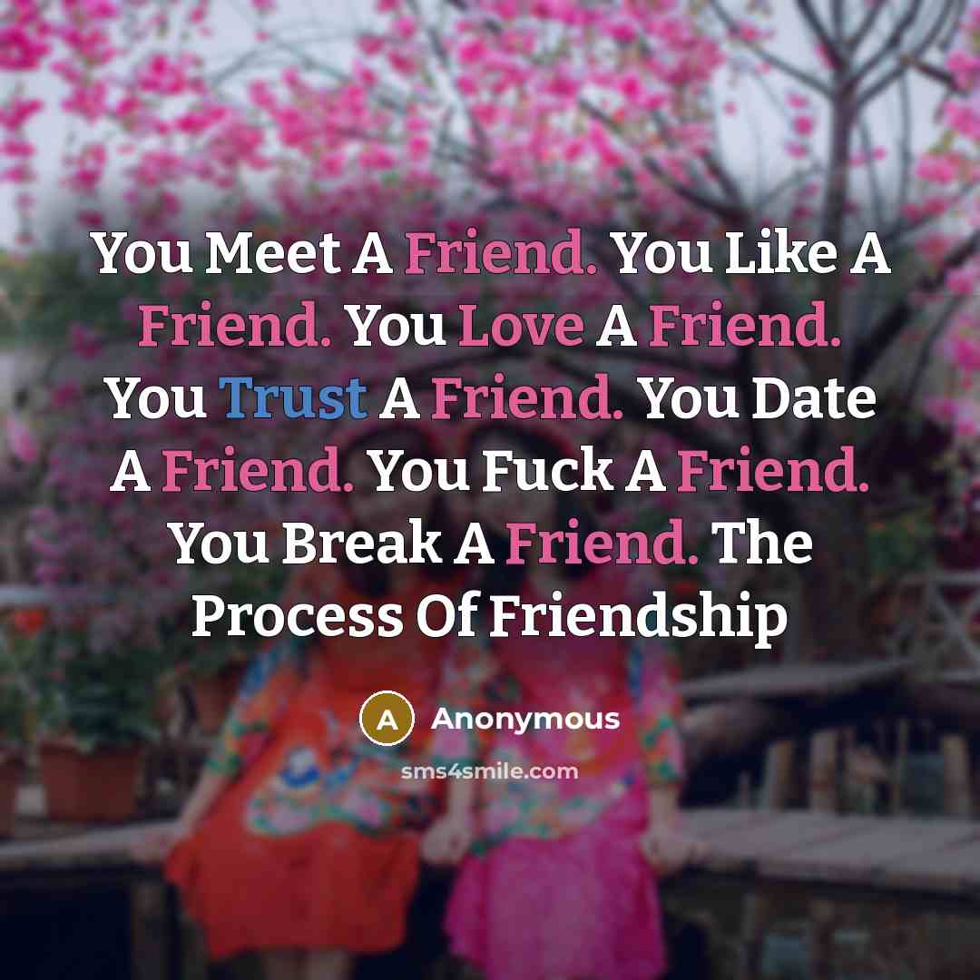 “You Meet A Friend. You Like A Friend. You Love A Friend. You Trust A Friend. You Date A Friend. You Fuck A Friend. You Break A Friend. The Process Of Friendship” quote by Anonymous