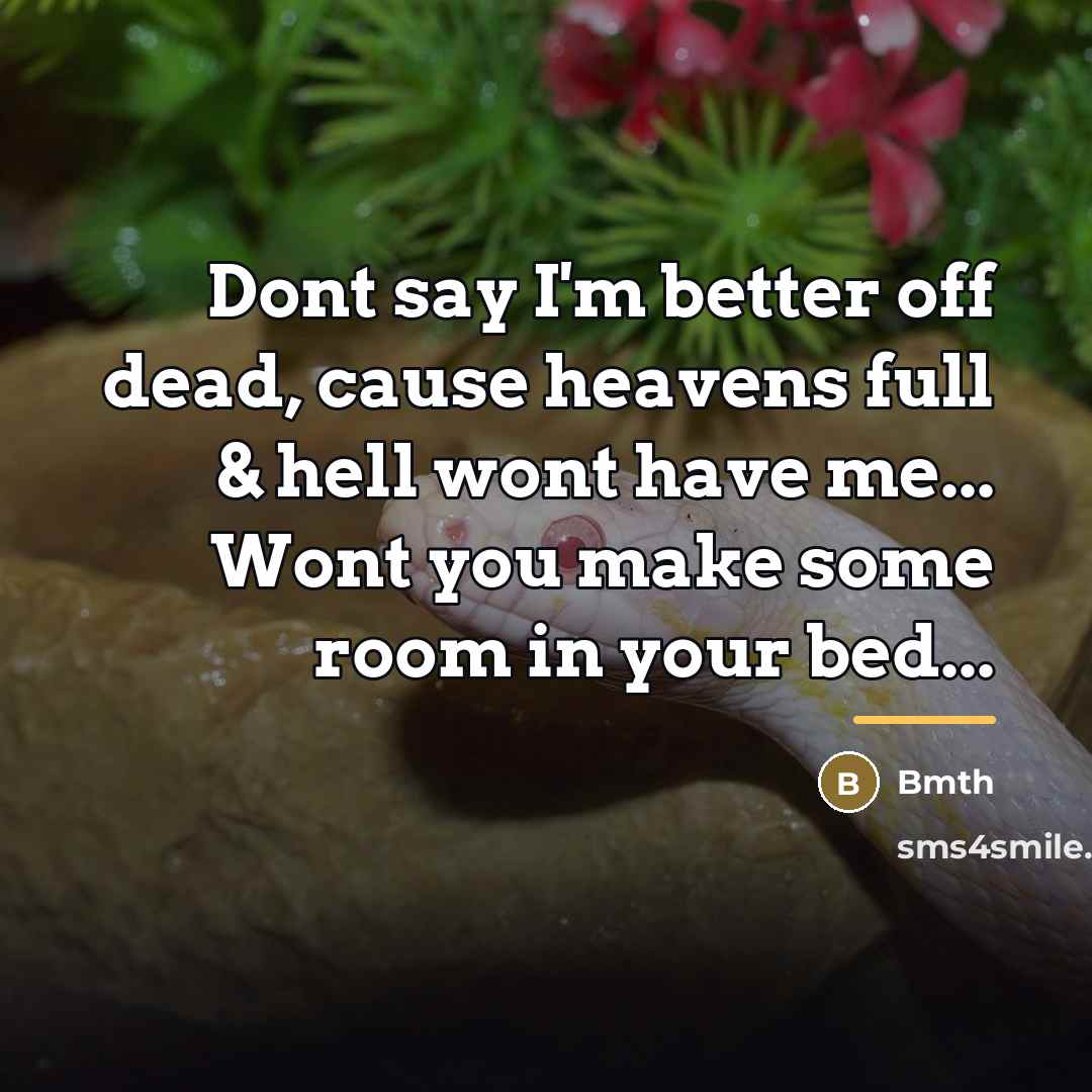 “Dont say I'm better off dead, cause heavens full &…” quote by Bmth