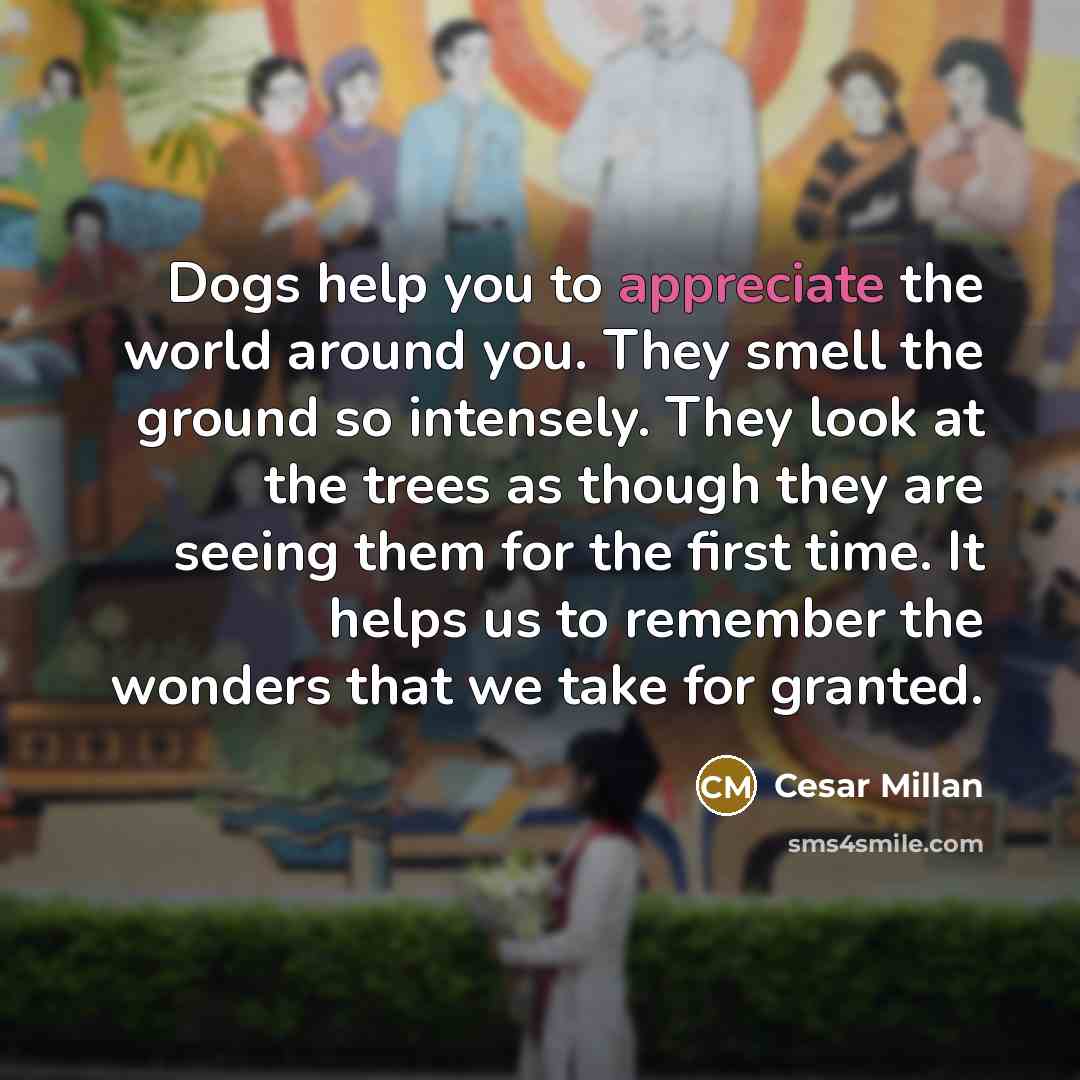 “Dogs help you to appreciate the world around you. They…” quote by Cesar Millan