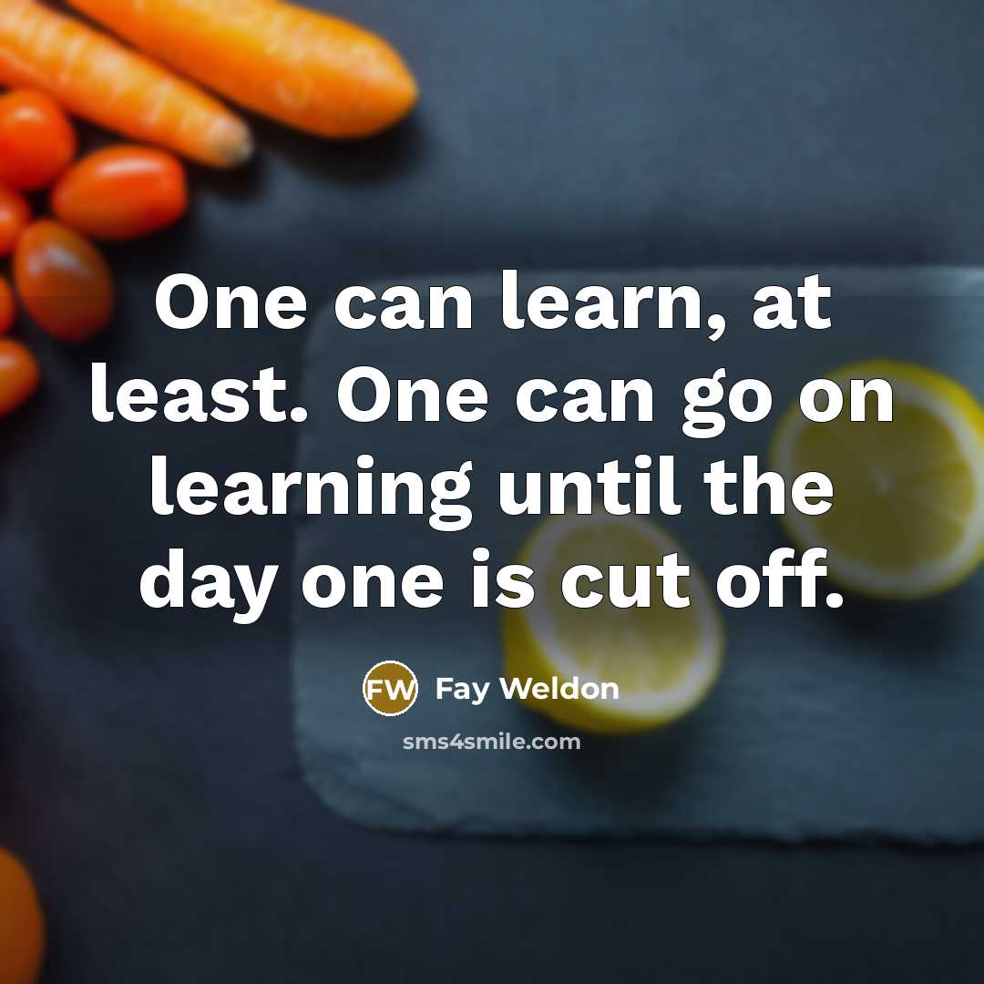 “One can learn, at least. One can go on learning…” quote by Fay Weldon
