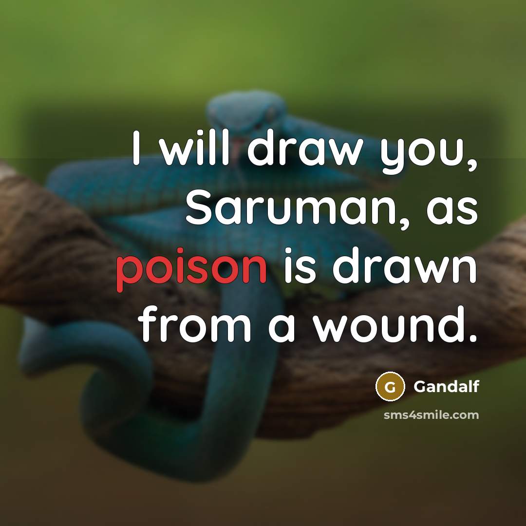 “I will draw you, Saruman, as poison is drawn from…” quote by Gandalf