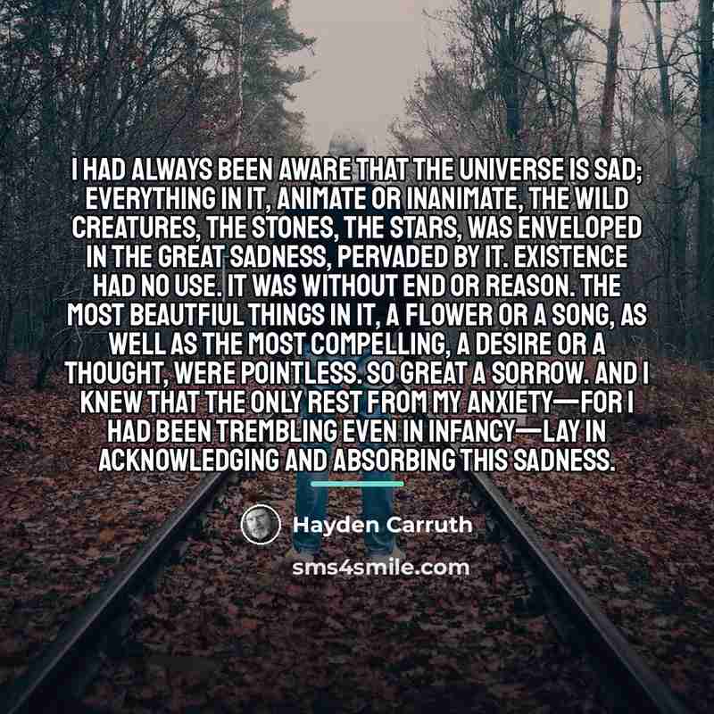 “I had always been aware that the Universe is sad;…” quote by Hayden Carruth