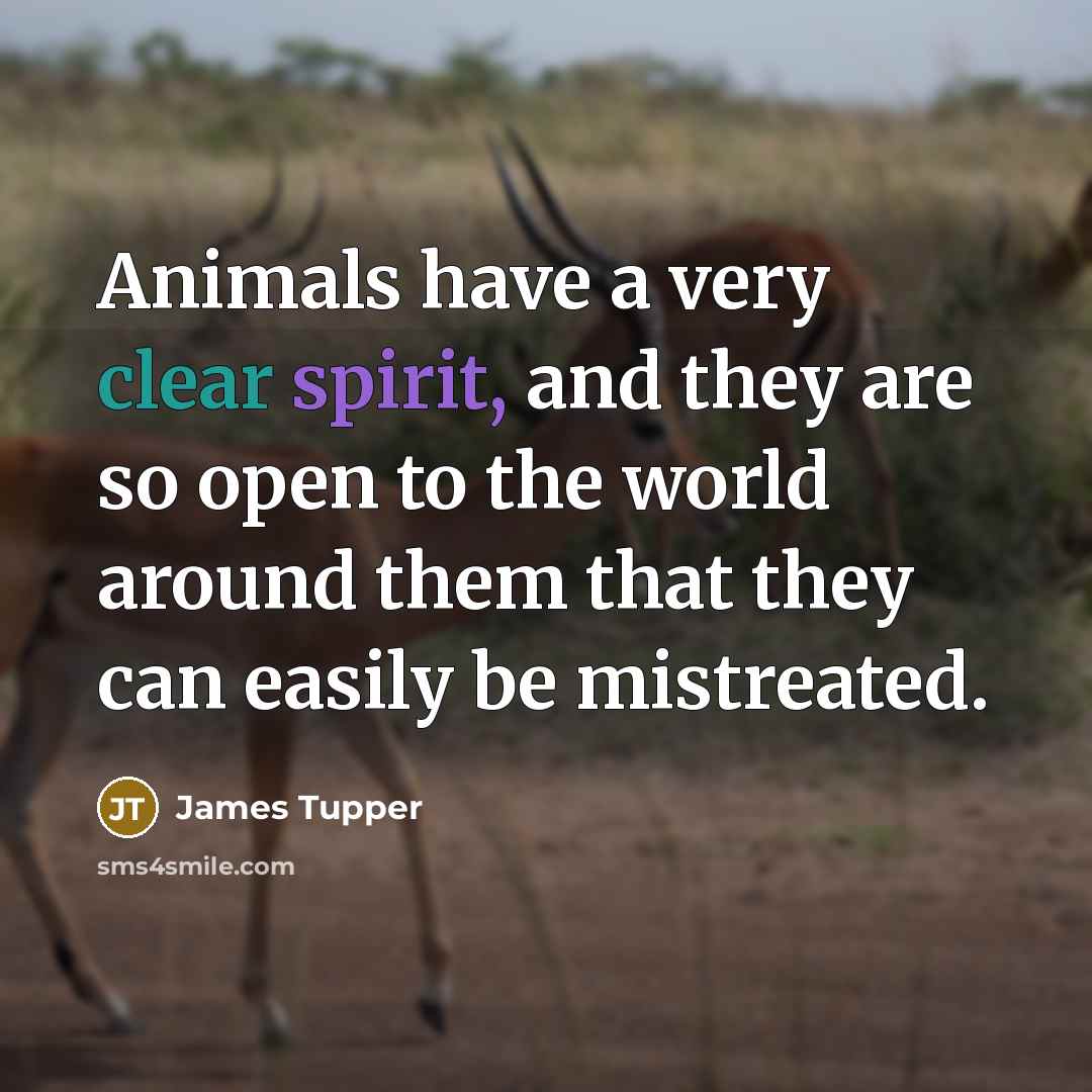 “Animals have a very clear spirit, and they are so open to the world around them that they can easily be mistreated.” quote by James Tupper