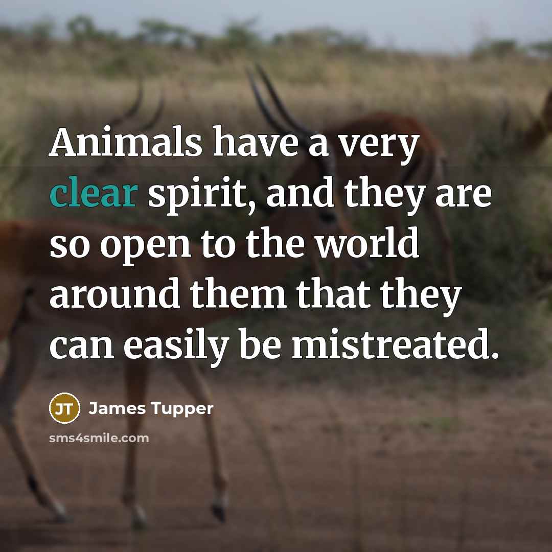 “Animals have a very clear spirit, and they are so…” quote by James Tupper