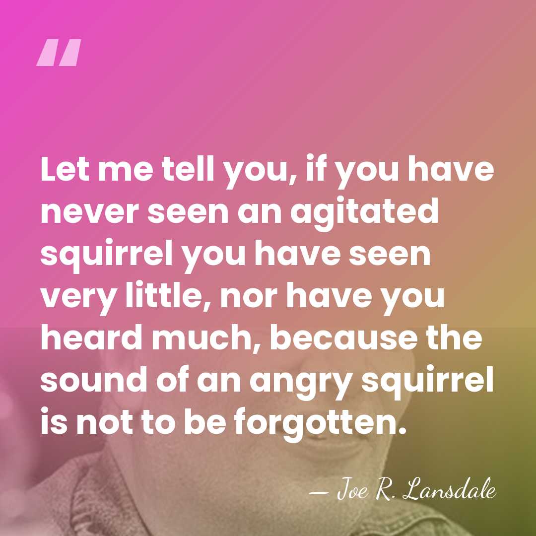 Let me tell you, if you have never seen an agitated squirrel&hellip; - Joe R. Lansdale