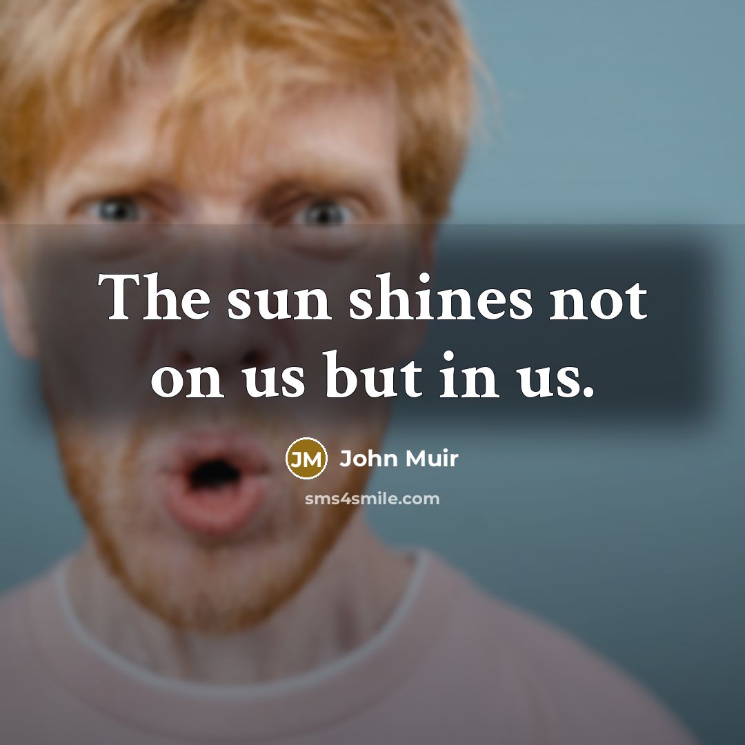 “The sun shines not on us but in us.…” quote by John Muir