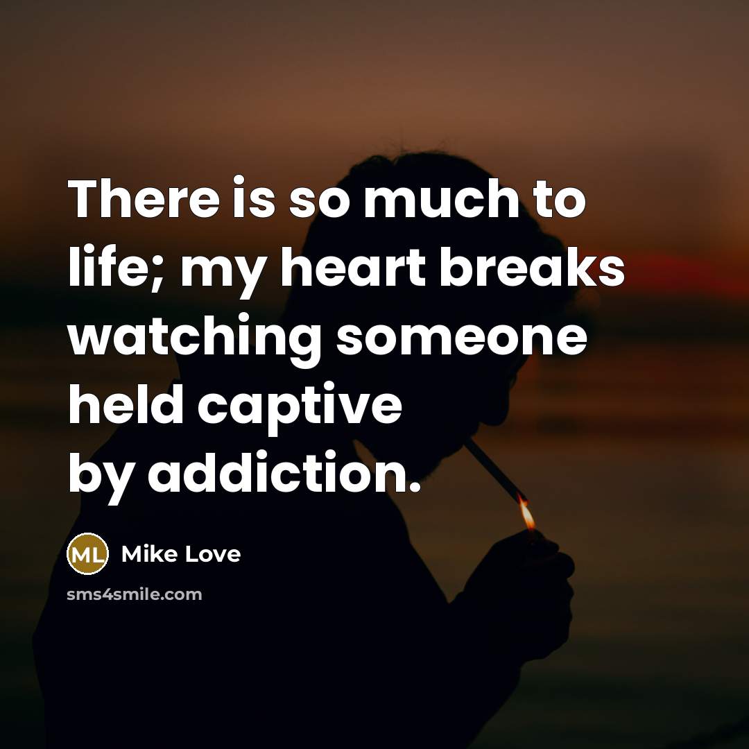 “There is so much to life; my heart breaks watching…” quote by Mike Love