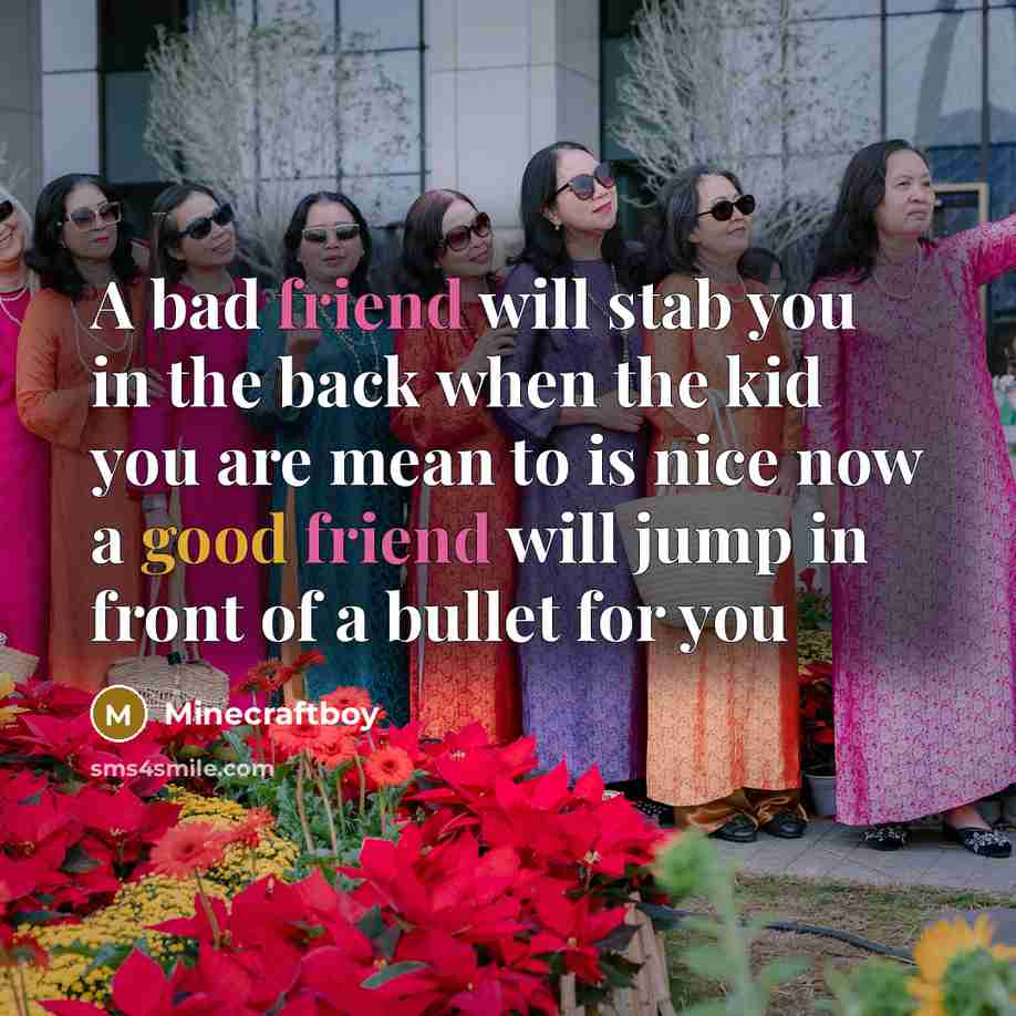 “A bad friend will stab you in the back when the kid you are mean to is nice now a good friend will jump in front of a bullet for you” quote by Minecraftboy