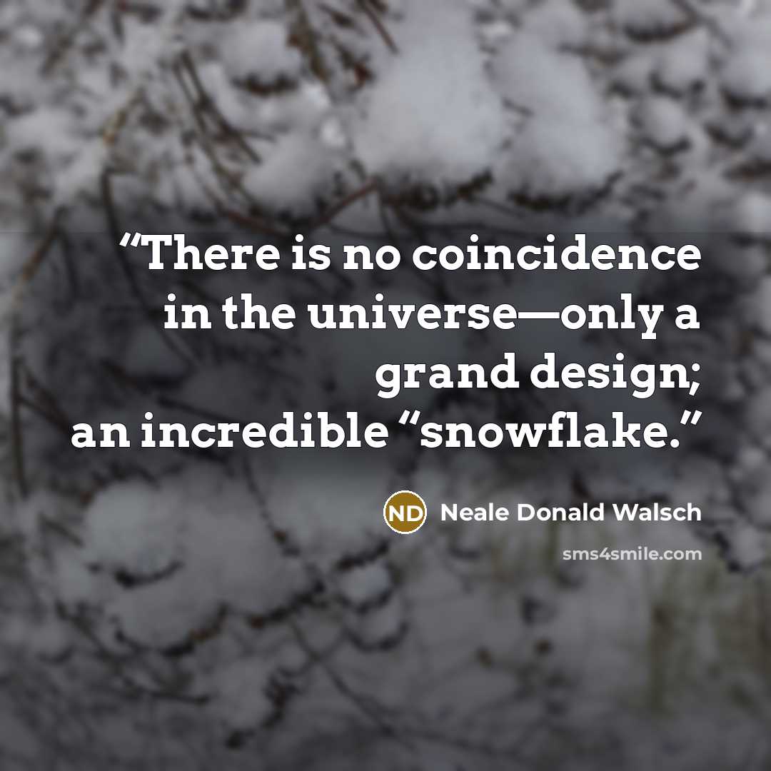 “There is no coincidence in the universe—only a grand design; an incredible “snowflake.” quote by Neale Donald Walsch
