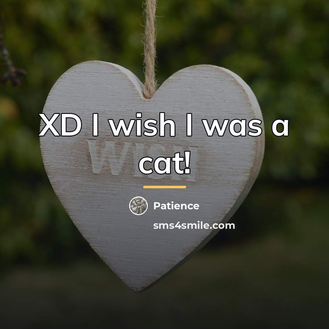 “XD I wish I was a cat!…” quote by Patience