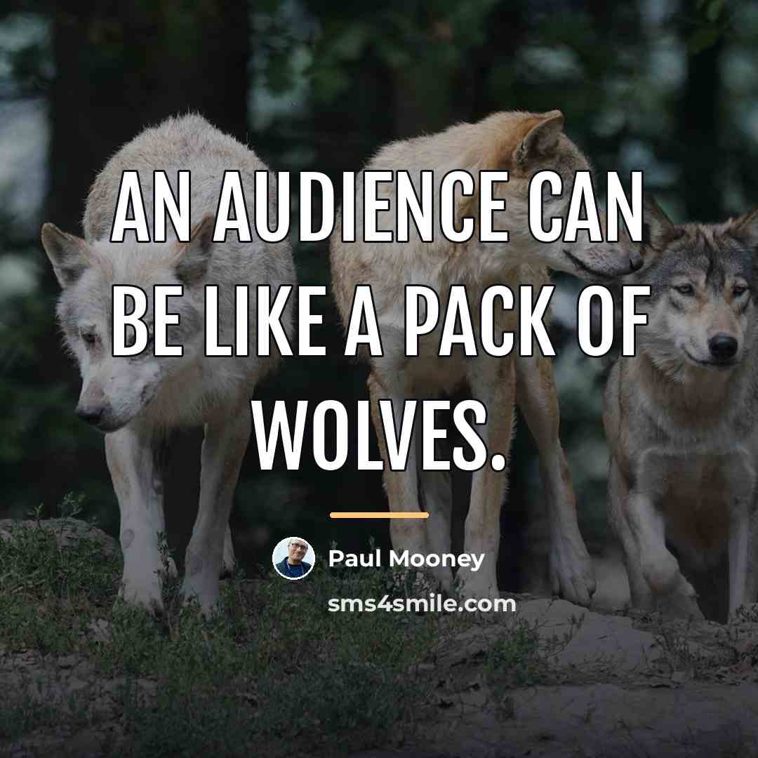 “An audience can be like a pack of wolves.…” quote by Paul Mooney