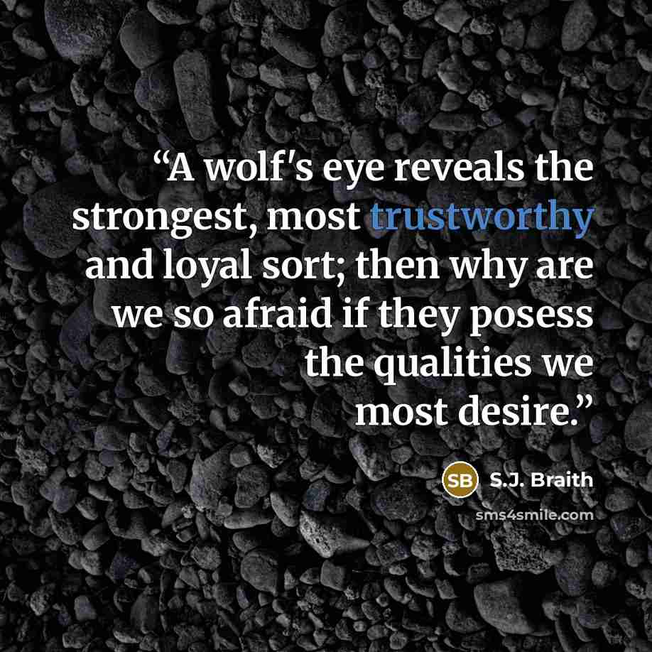 “A wolf's eye reveals the strongest, most trustworthy and loyal sort; then why are we so afraid if they posess the qualities we most desire.” quote by S.J. Braith