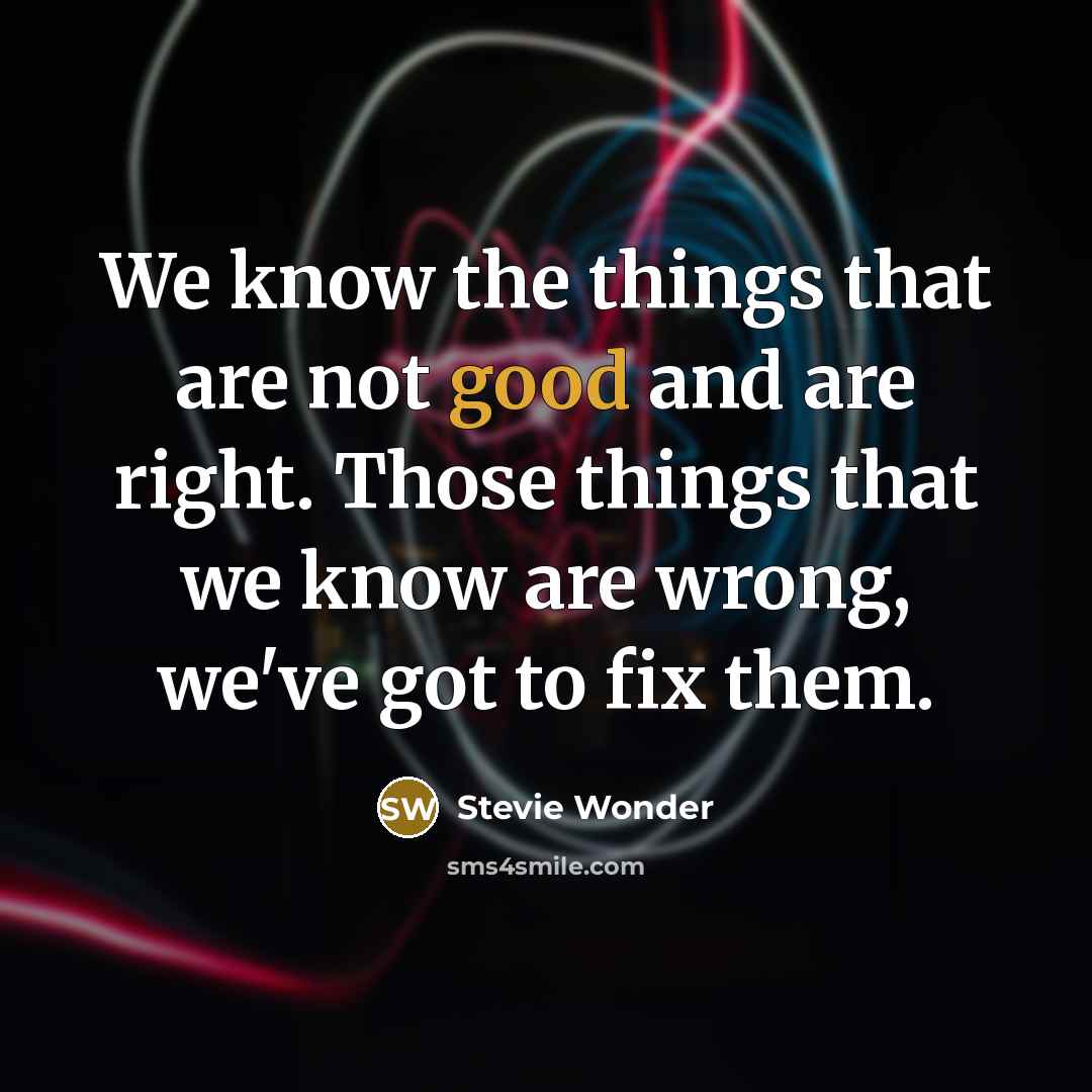 “We know the things that are not good and are…” quote by Stevie Wonder