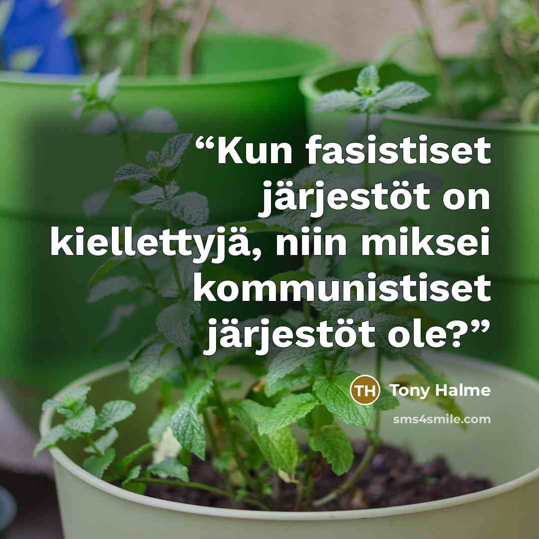 “Kun fasistiset järjestöt on kiellettyjä, niin miksei kommunistiset järjestöt ole?” quote by Tony Halme