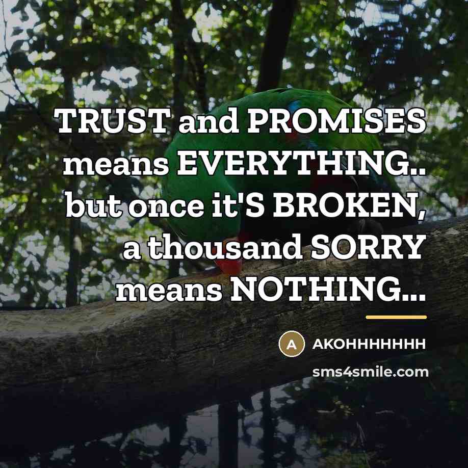 “TRUST and PROMISES means EVERYTHING.. but once it'S BROKEN, a…” quote by Akohhhhhhh