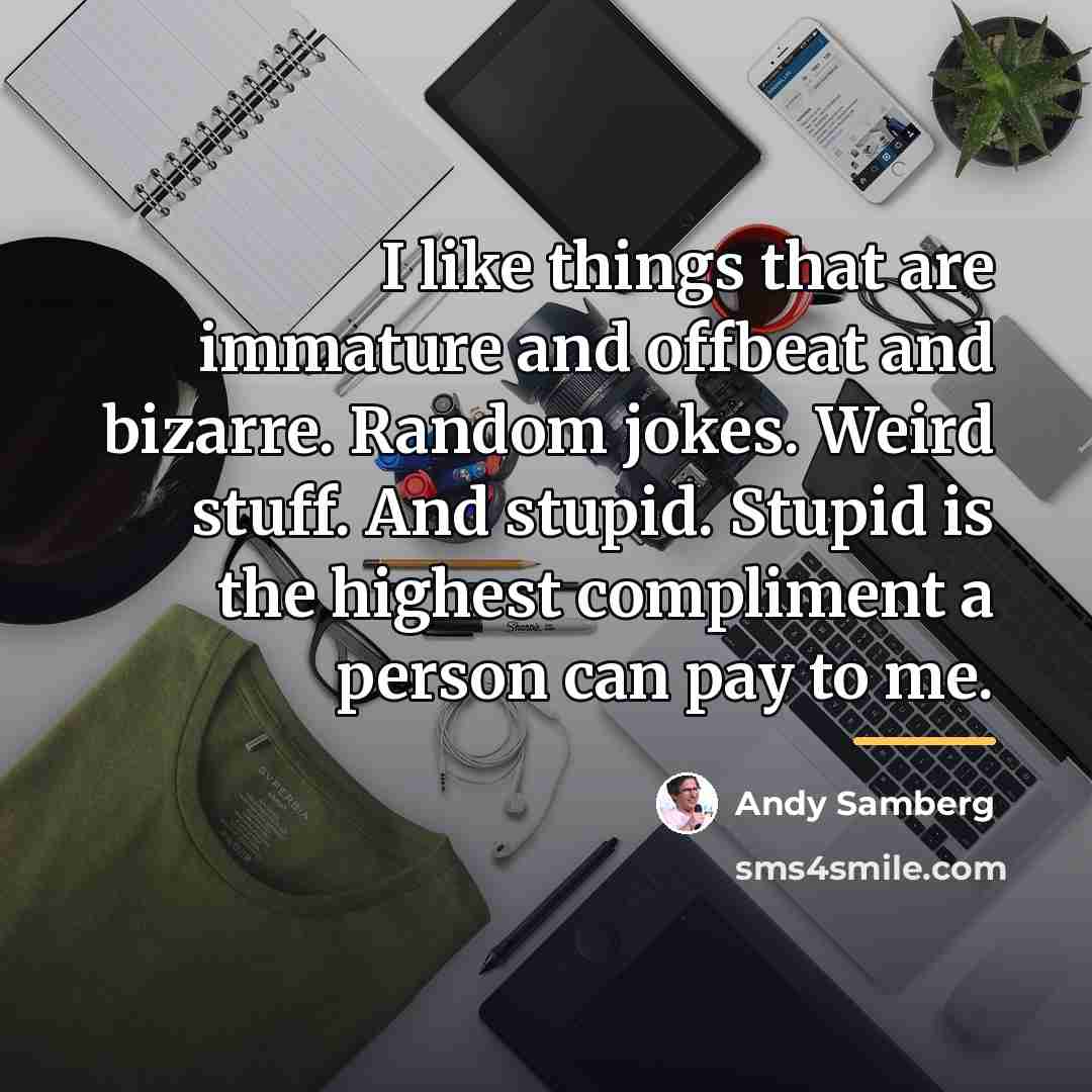 “I like things that are immature and offbeat and bizarre.…” quote by Andy Samberg
