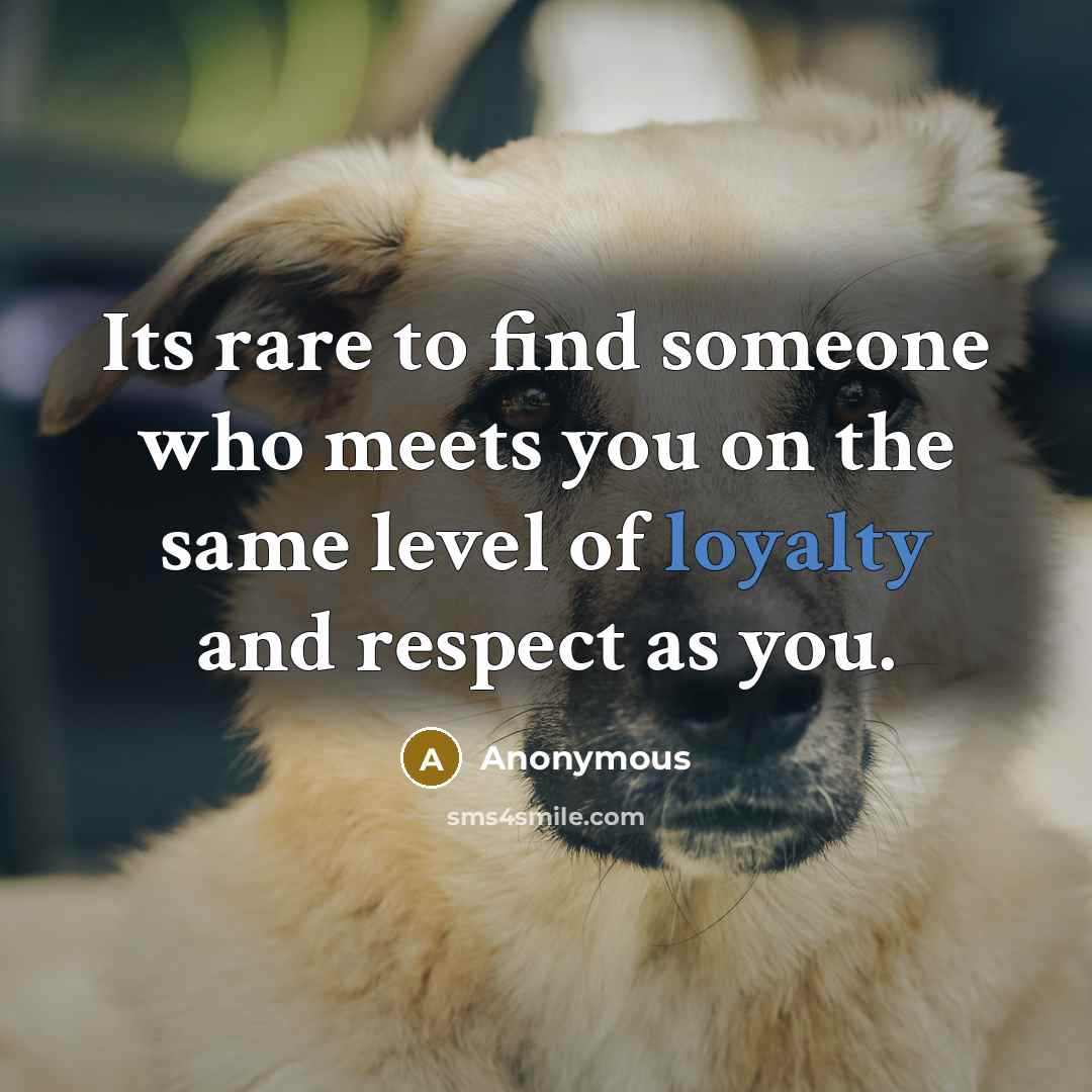 “Its rare to find someone who meets you on the…” quote by Anonymous