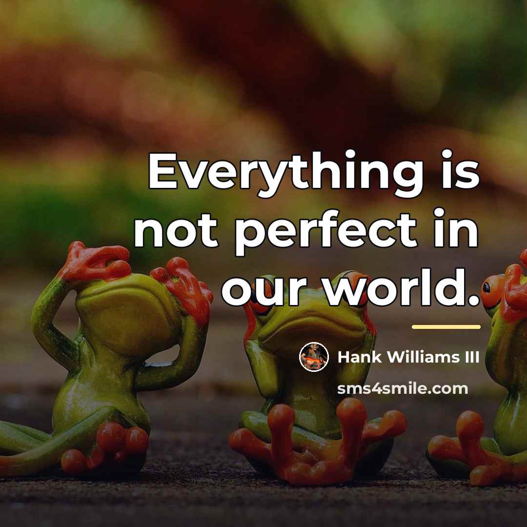 “Everything is not perfect in our world.…” quote by Hank Williams III