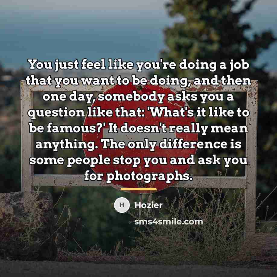 “You just feel like you're doing a job that you…” quote by Hozier