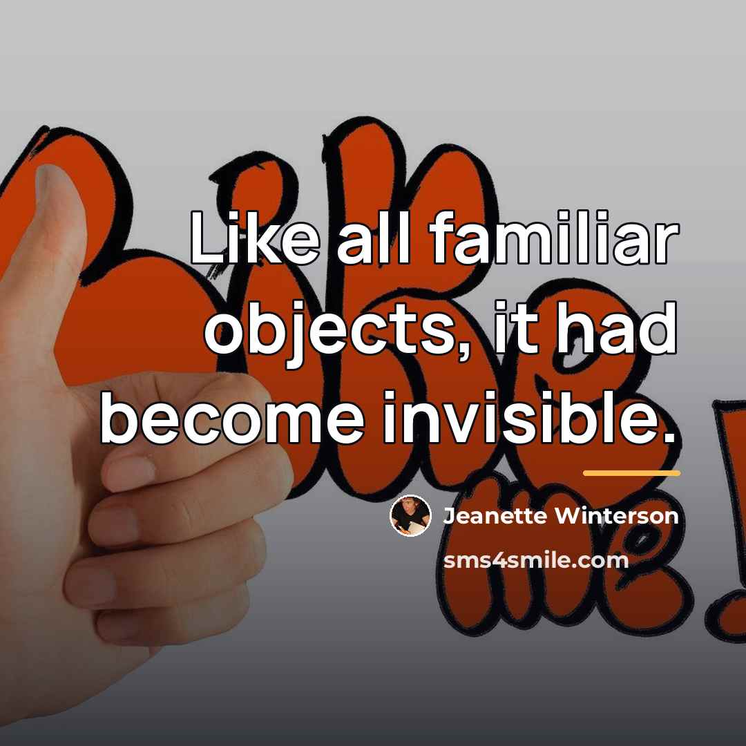 “Like all familiar objects, it had become invisible.…” quote by Jeanette Winterson