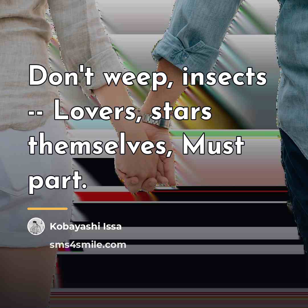 “Don't weep, insects -- Lovers, stars themselves, Must part.…” quote by Kobayashi Issa