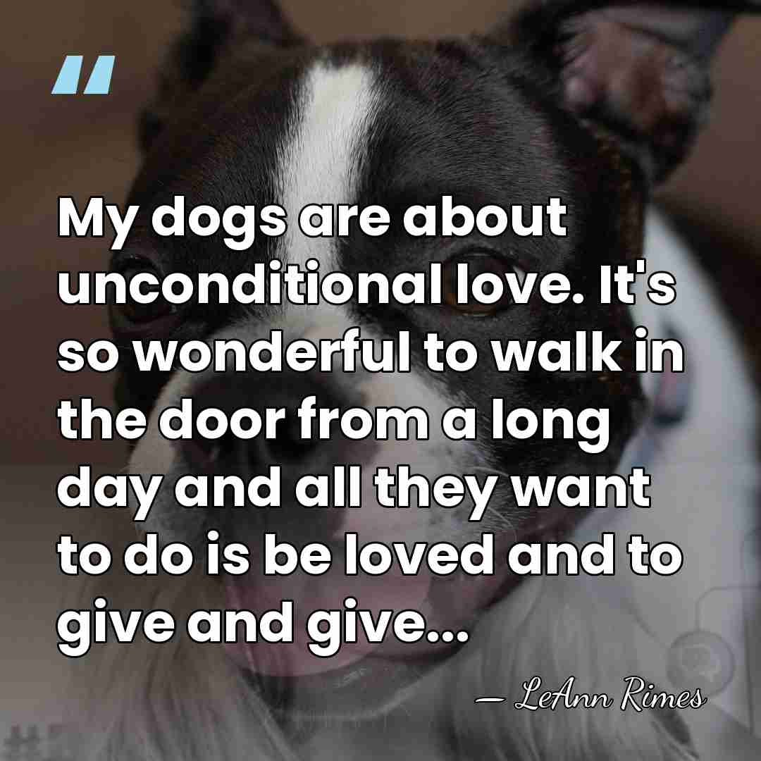 My dogs are about unconditional love. It's so wonderful to walk in&hellip; - LeAnn Rimes