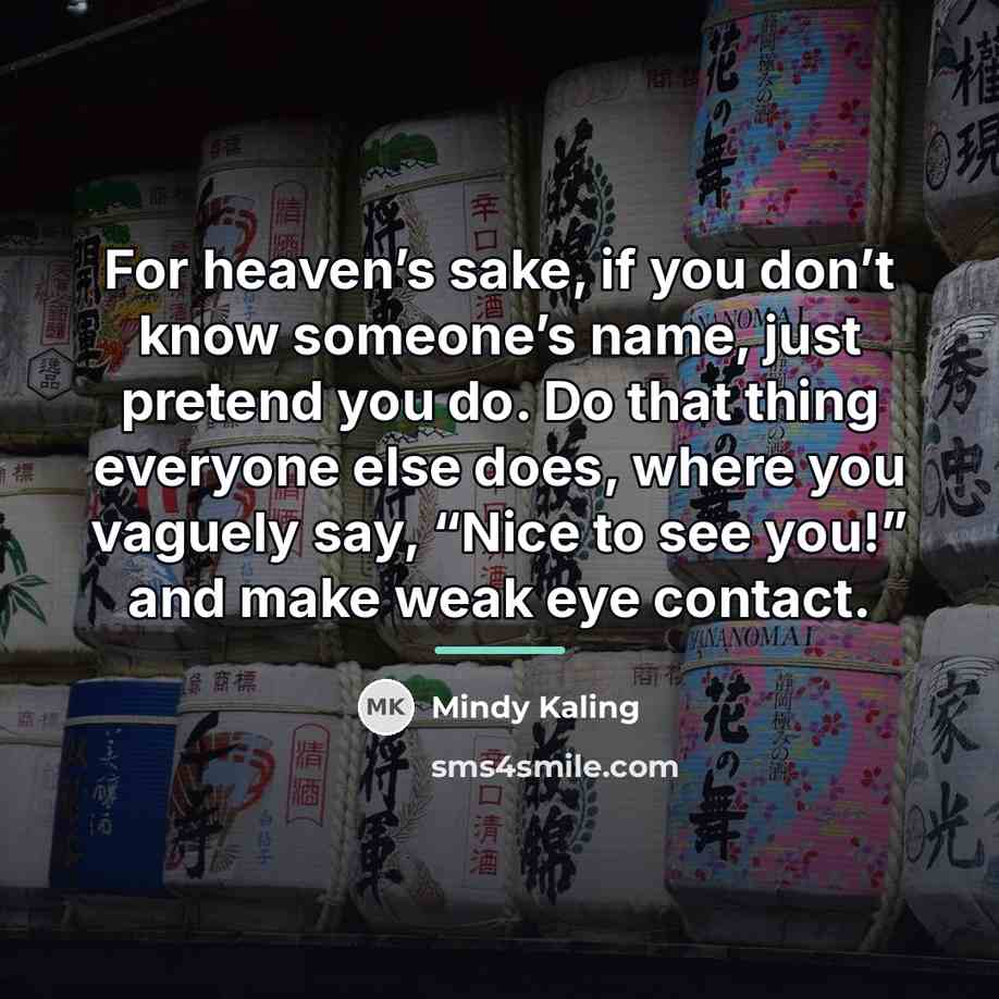 “For heaven’s sake, if you don’t know someone’s name, just…” quote by Mindy Kaling