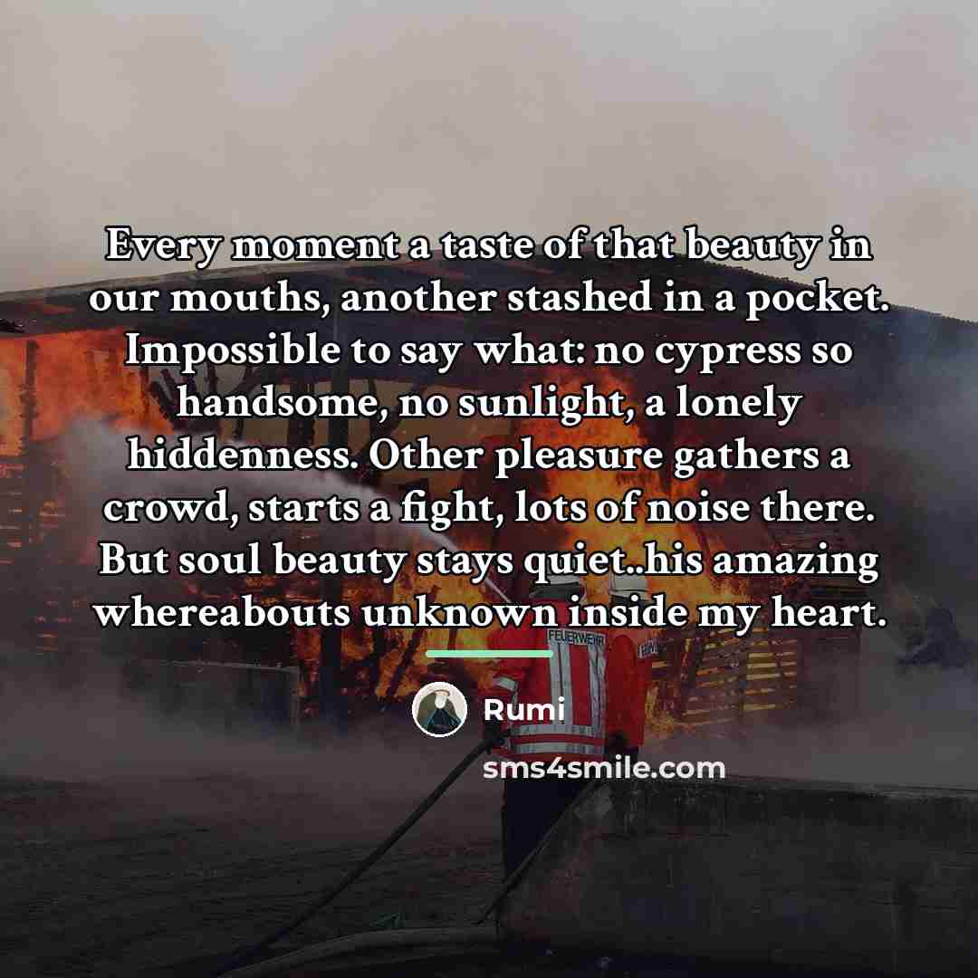 “Every moment a taste of that beauty in our mouths,…” quote by Rumi