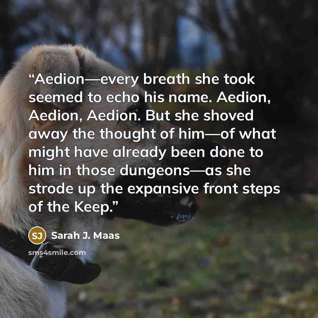 “Aedion—every breath she took seemed to echo his name. Aedion, Aedion, Aedion. But she shoved away the thought of him—of what might have already been done to him in those dungeons—as she strode up the expansive front steps of the Keep.” quote by Sarah J. Maas