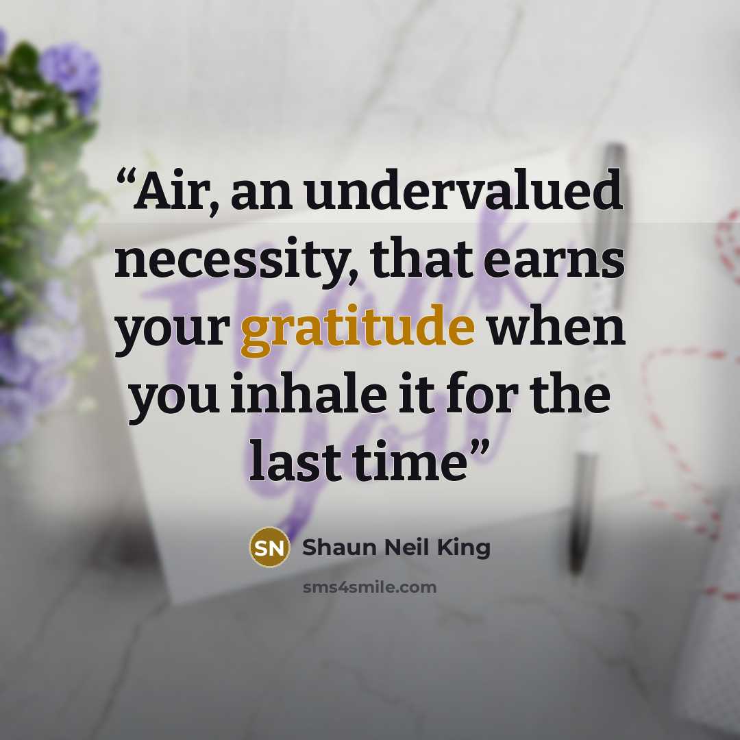 “Air, an undervalued necessity, that earns your gratitude when you inhale it for the last time” quote by Shaun Neil King