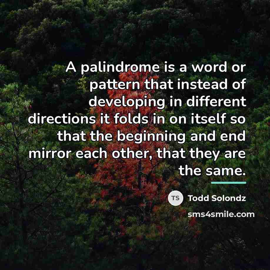 “A palindrome is a word or pattern that instead of…” quote by Todd Solondz
