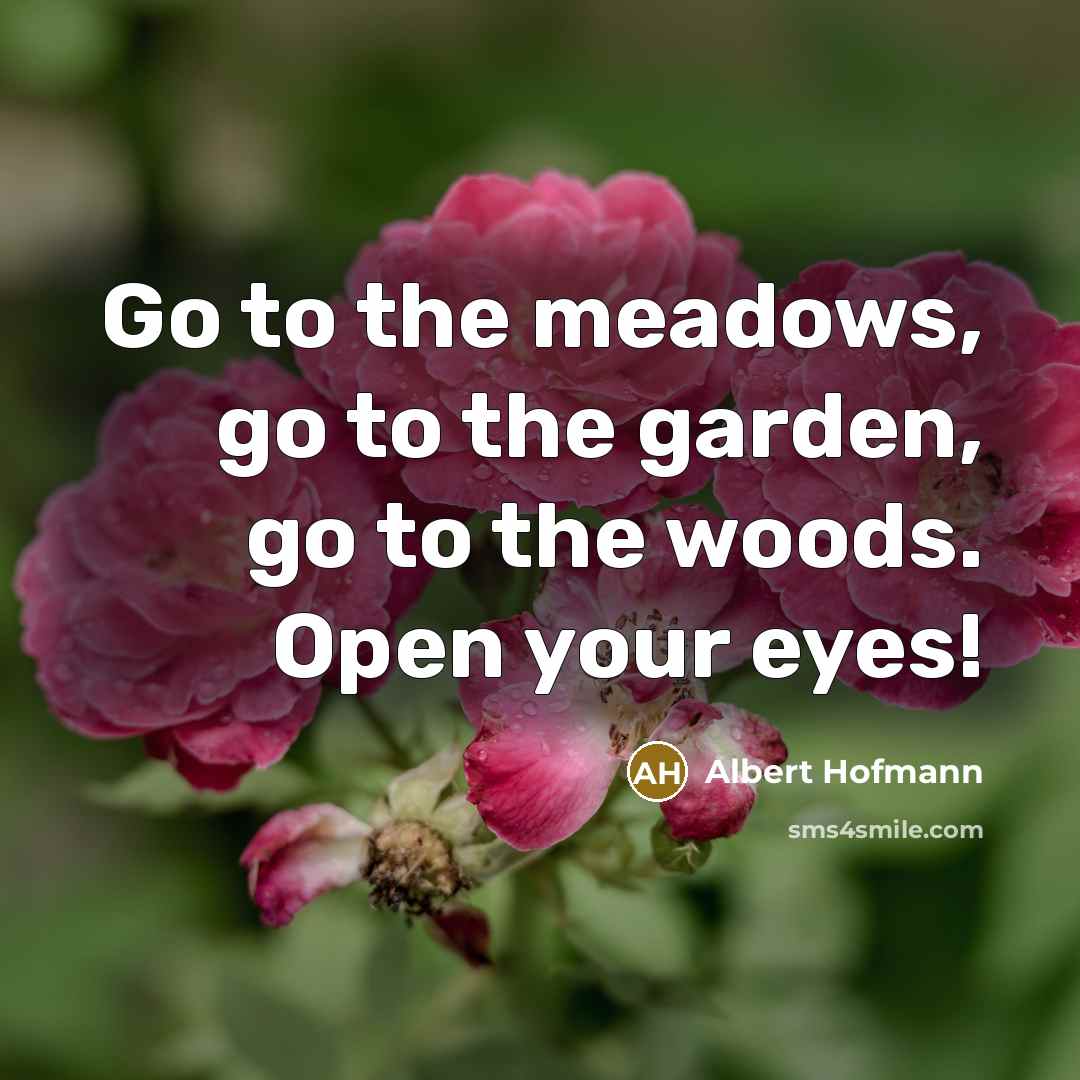 “Go to the meadows, go to the garden, go to…” quote by Albert Hofmann