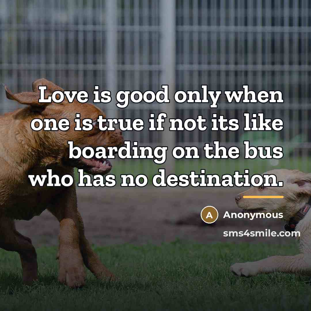“Love is good only when one is true if not…” quote by Anonymous