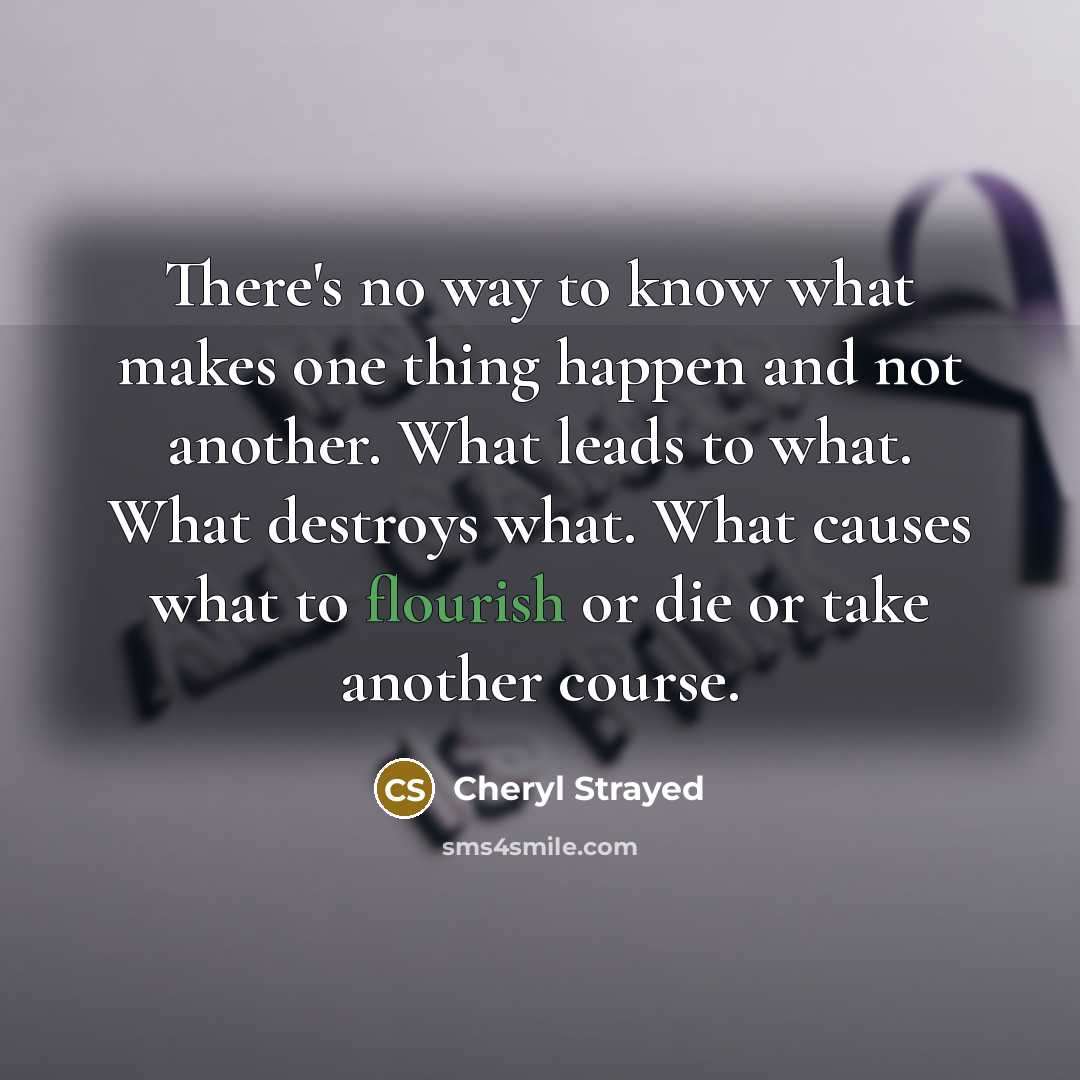 “There's no way to know what makes one thing happen…” quote by Cheryl Strayed