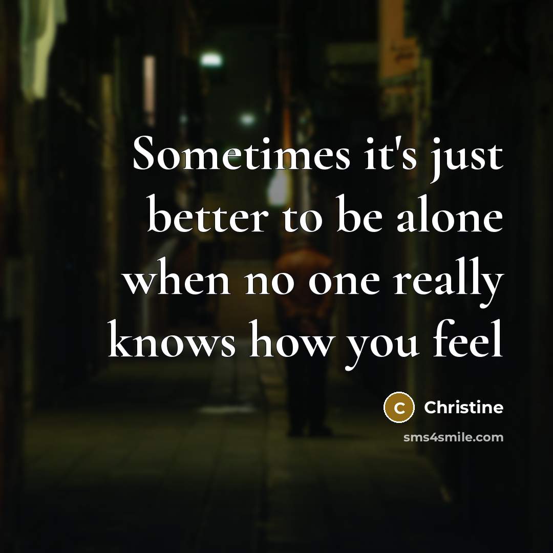 “Sometimes it's just better to be alone when no one…” quote by Christine