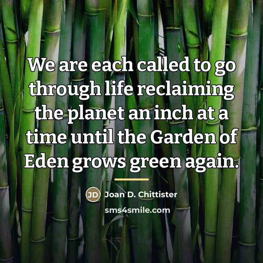 “We are each called to go through life reclaiming the…” quote by Joan D. Chittister