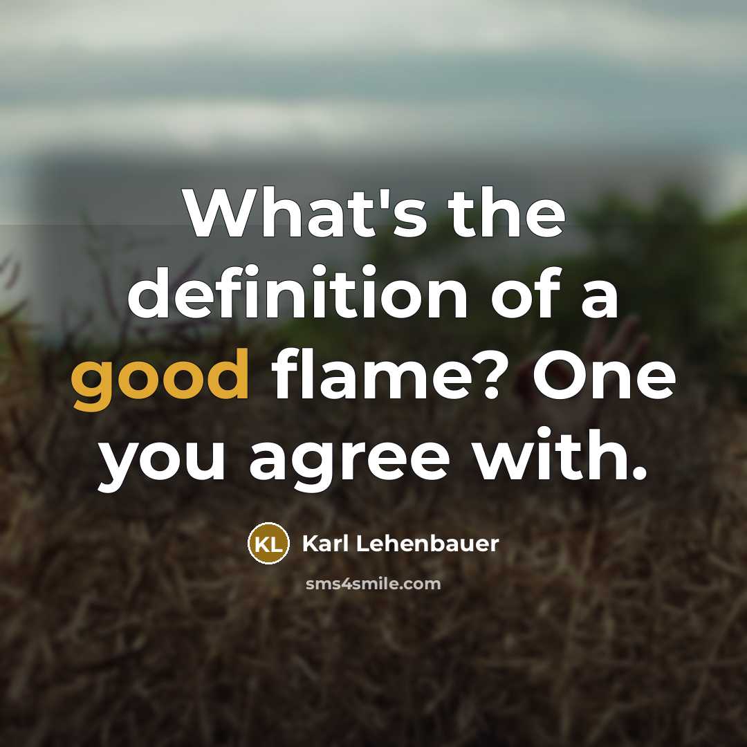 “What's the definition of a good flame? One you agree…” quote by Karl Lehenbauer