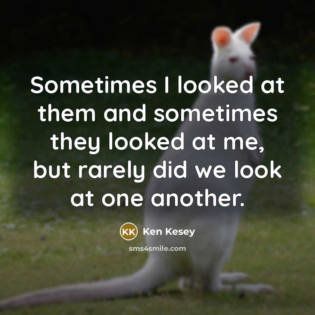 “Sometimes I looked at them and sometimes they looked at…” quote by Ken Kesey
