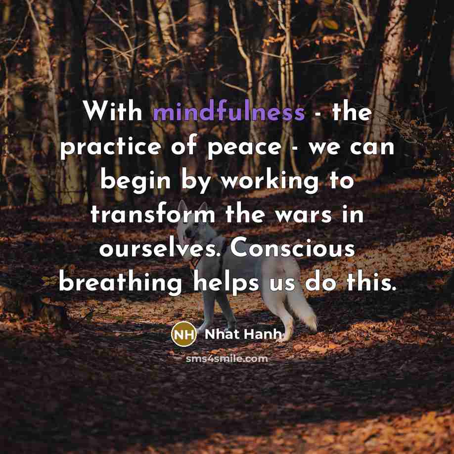 “With mindfulness - the practice of peace - we can…” quote by Nhat Hanh