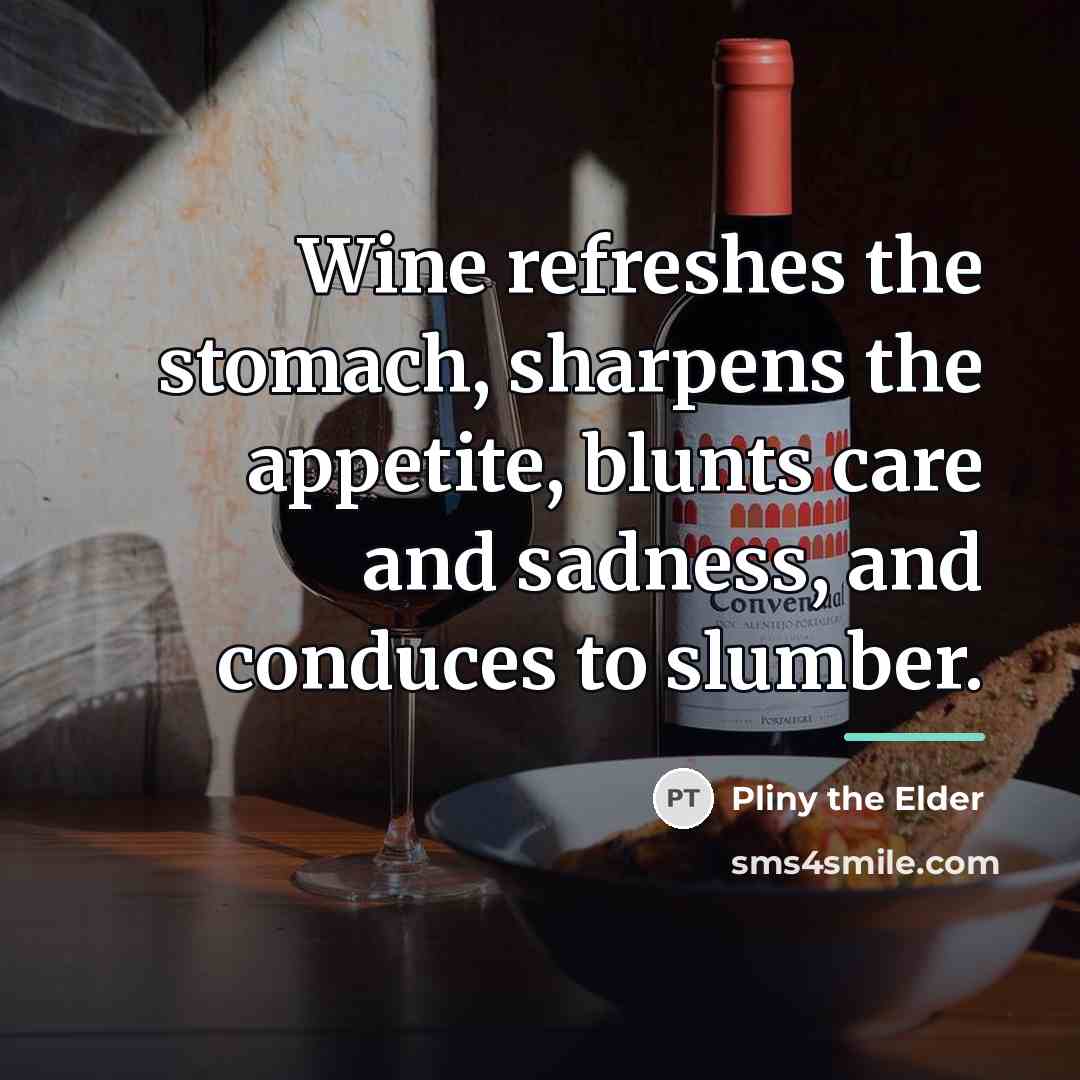“Wine refreshes the stomach, sharpens the appetite, blunts care and…” quote by Pliny the Elder