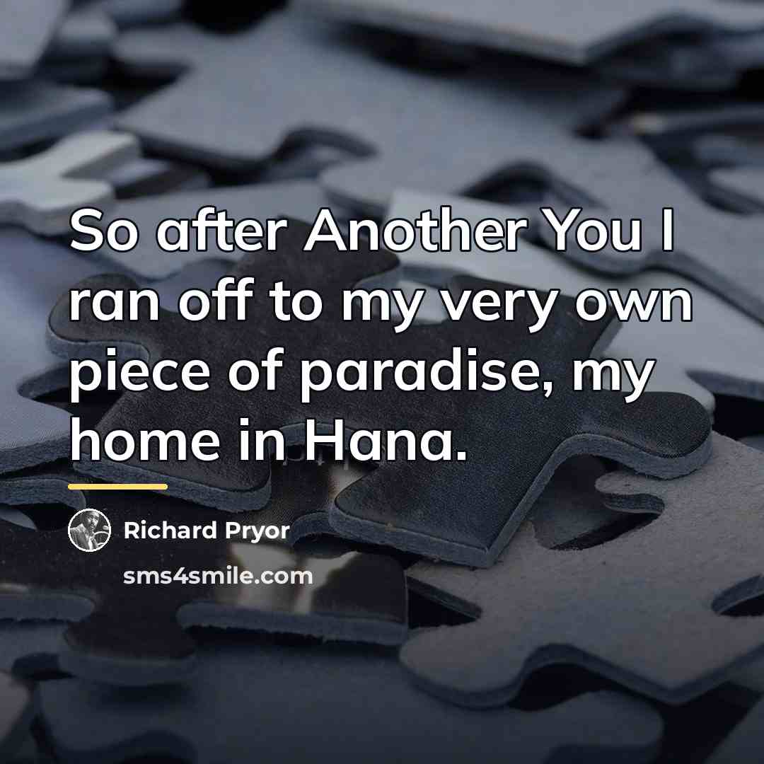 “So after Another You I ran off to my very…” quote by Richard Pryor