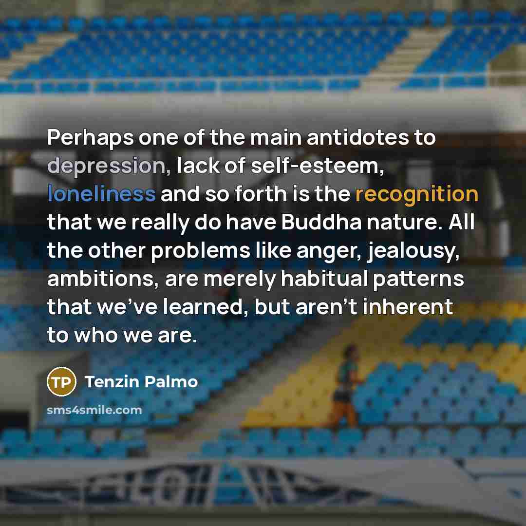 “Perhaps one of the main antidotes to depression, lack of…” quote by Tenzin Palmo