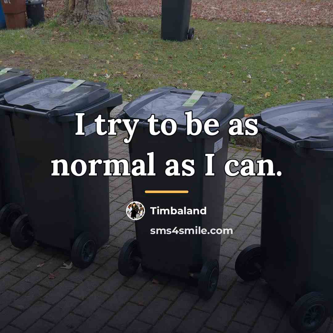 “I try to be as normal as I can.…” quote by Timbaland