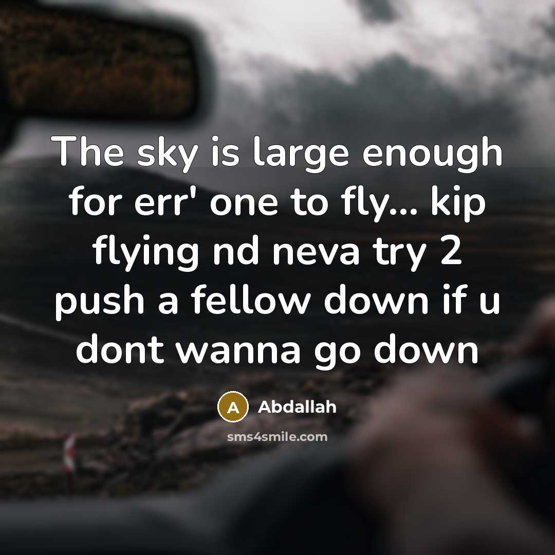 “The sky is large enough for err' one to fly... kip flying nd neva try 2 push a fellow down if u dont wanna go down” quote by Abdallah