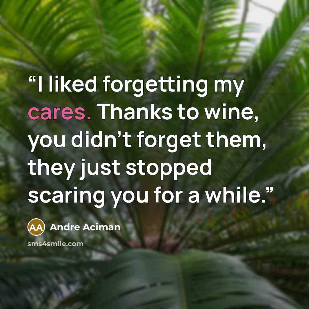 “I liked forgetting my cares. Thanks to wine, you didn't forget them, they just stopped scaring you for a while.” quote by André Aciman